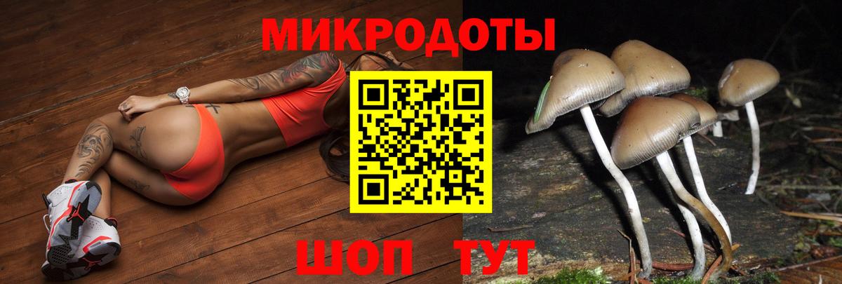 Галлюциногенные грибы мицелий  Вход с VPN  Димитровград 
